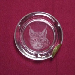 pt-cendr-t-lynx
