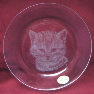 assiette cosmos tête chat