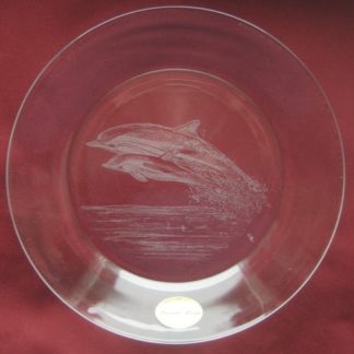 assiette cosmos dauphin