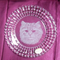 assiette bossa nova chat