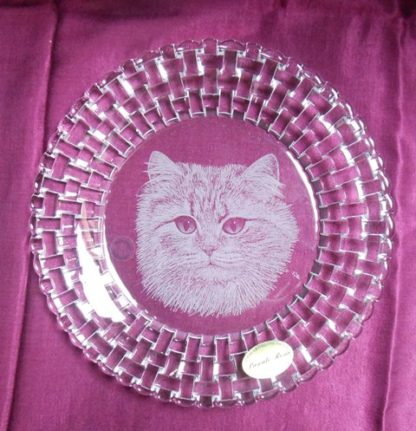 assiette bossa nova chat