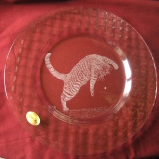 plat Bisanzio chat jouant