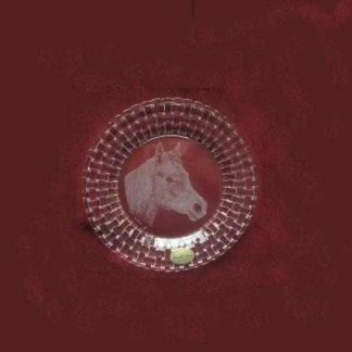 assiette piano cheval