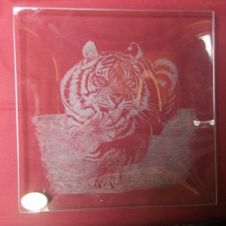 plat carré tigre