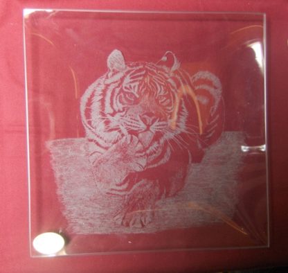 plat carré tigre