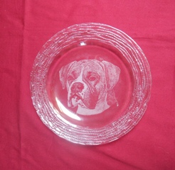 assiette tête boxer