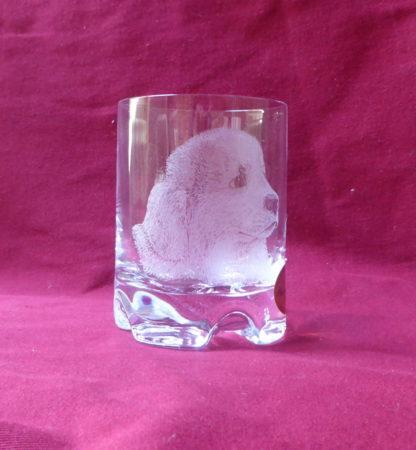 verre à whisky tête berger des Pyrénées