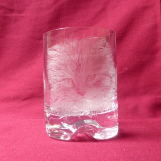 verre à whisky tête chat à poils longs