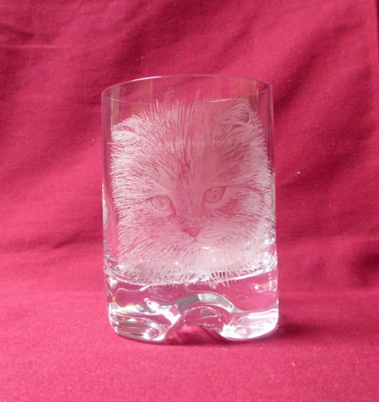 verre à whisky tête chat à poils longs