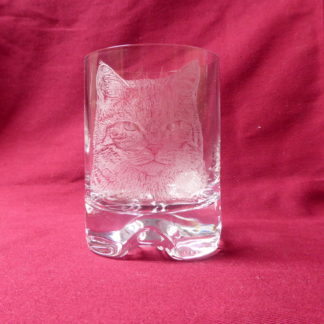 verre à whisky tête chat à poils courts