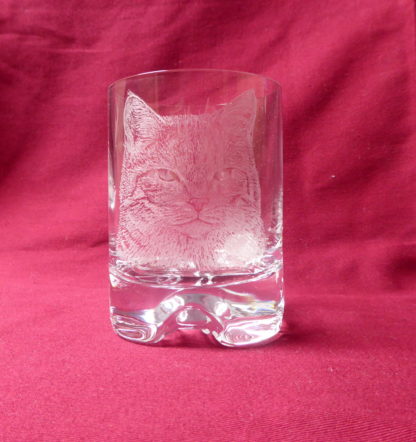 verre à whisky tête chat à poils courts