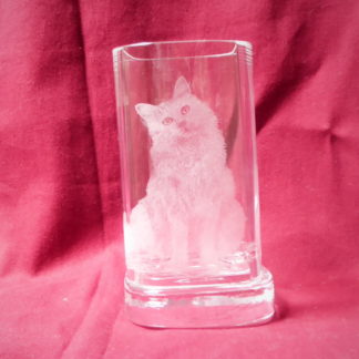 photophore "Bob" chat