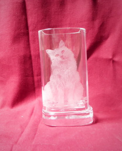 photophore "Bob" chat