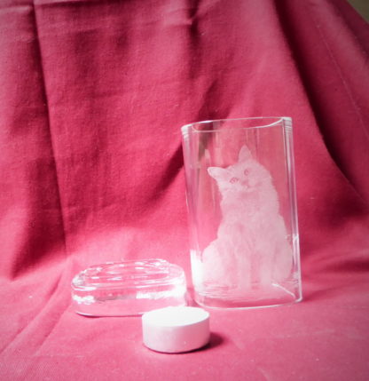 photophore "Bob" chat – Image 2