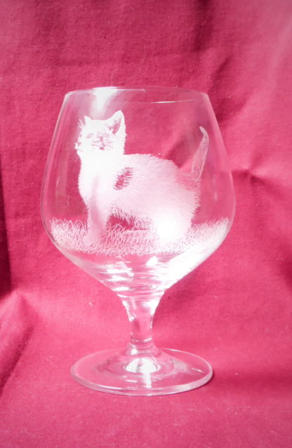 verre à cognac chaton