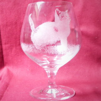 verre à cognac chaton 2