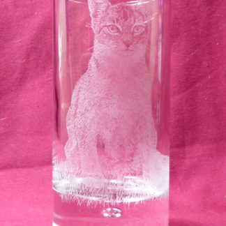 verre à eau disco chat