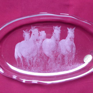 plat allongé chevaux au galop