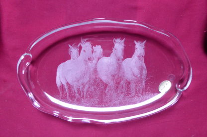 plat allongé chevaux au galop