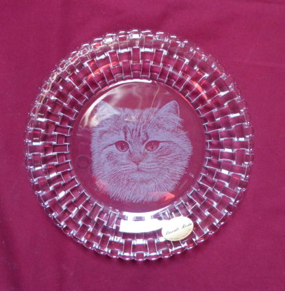 assiette bossa nova tête chat à poils longs – Image 2