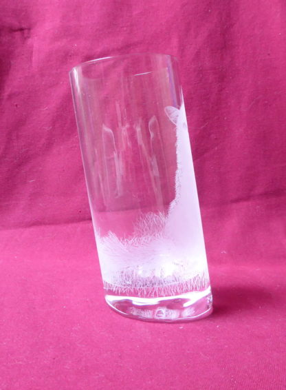 verre à eau 10 grad chat à poils longs – Image 2
