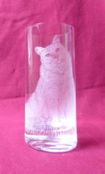 verre 10 grad chat